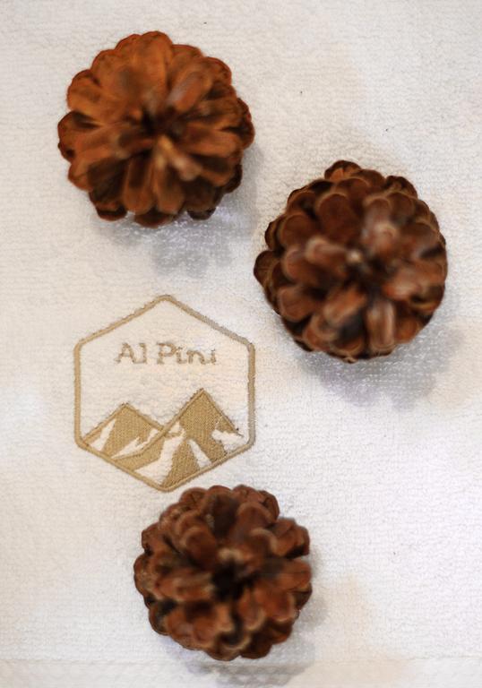 Alpini Apartamenty Zakopane Habitación foto